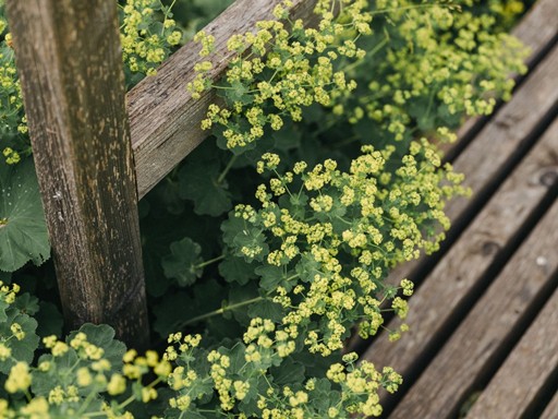 Wirbelsäulenmassage nach Breuss