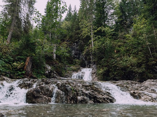 Anti-Stress-Verwöhnmassage von Pharmos Natur 